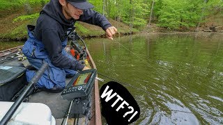 TWO Unexpected Catches In Bass Fishing Tournament weird [upl. by Duax]