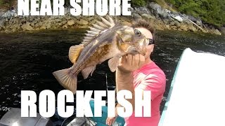 How to Fishing  Shore Jigging BC Rockfish [upl. by Corwun]