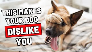 7 Dog Myths That Make Your Dog Dislike You Stop Before Its Too Late [upl. by Kalli]