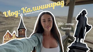 Vlog Калининград  Зеленоградск  Светлогорск  Лучшие рестораны  Что посмотреть за 4 дня [upl. by Arahsat]