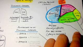 Esquema CONCEPTOS de Neurología [upl. by Esdnil]