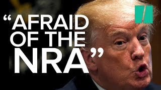 Trump To Lawmakers Youre Afraid Of The NRA [upl. by Tonjes]