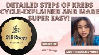 Detailed Steps of Krebs Cycle Explained and Made Super Easy with Various Techniques SLDBiology [upl. by Millard945]