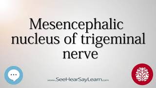 Mesencephalic nucleus of trigeminal nerve Anatomy of the Brain SeeHearSayLearn 🔊 [upl. by Varrian]