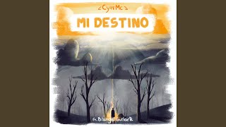 Mi Destino [upl. by Coltun]