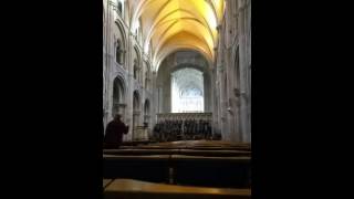 Carols in Christchurch Priory [upl. by Idnahk]