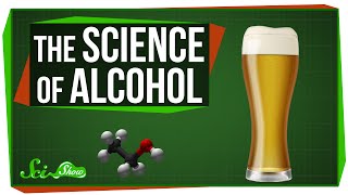 The Science of Alcohol From Beer to Bourbon [upl. by Atinel]