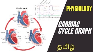 Physiology  Cardiac Cycle Graphical Events in Tamil  Dr Thameem Ansari [upl. by Goldenberg]