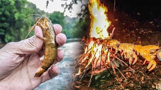 Pesca de Supervivencia 🦐 En Río Con Arpón 🔥 [upl. by Sapers604]