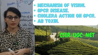 Mechanism of Vision  GPCR Disease  Cholera Toxin [upl. by Ailhat]