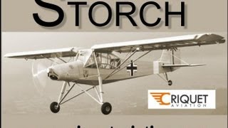 Storch Criquet Storch lightsport aircraft experimental amateurbuilt light sport aircraft [upl. by Odnala]