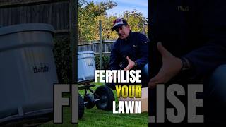 When is the best time to use fertiliser for the best lawncare results shorts [upl. by Chil]