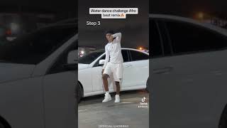 Tyla  water challenge Afro remix official dance tutorials by official lhorray [upl. by Anayhd]