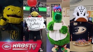 Mascots wish Youppi a happy 40th birthday [upl. by Nosnah]