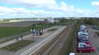 Hillegom 21 april 2024 Stoomtrein door de Bollenstreek [upl. by Weitzman]