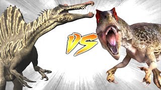 Spinosaurus VS Allosaurus Who Would Win [upl. by Otrevogir]