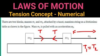 Massless String on Frictionless Concept Tension force Numerical Laws of Motion CBSE [upl. by Dex]