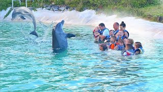 I took my 7 kids swimming with DOLPHINS 😭😍 [upl. by Nirrep]