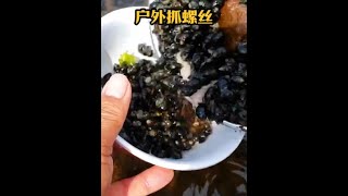 戶外捕魚：漁民使用自家的漏勺在水下捕獲巨量螺絲 逮魚摸蝦 趕海 養魚日記 [upl. by Rooney]