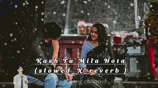 Kash tu Mila Hota slowed x reverb song Mind RelaxSong [upl. by Herriott]