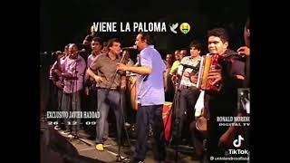 viene la paloma Diomedes Diaz Xdddddd [upl. by Llehsar976]