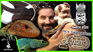 Attending the Tinley Reptile Show Part 1 March 2022 [upl. by Andersen]