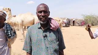 IIBKA GEELA EE MADOGASHE LAGDERA GARISSA COUNTY DAWO SHEKO XIISO BADAN [upl. by Inah]