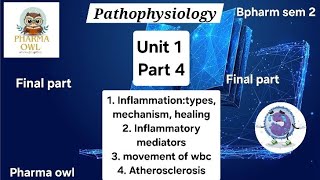 UNIT 1 PART 4  INFLAMMATION  types  mechanism  healing  Movement of wbc  Atherosclerosis 🦉 [upl. by Francklyn527]