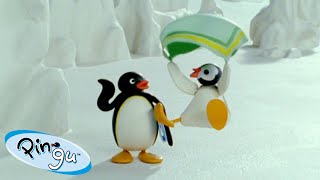 Pingus Windy Day 🐧  Pingu  Official Channel  Cartoons For Kids [upl. by Ayk]