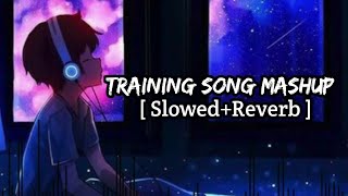 Training Song Mashup  SlowedReverb  Instagram Lofi Songs BS LOFI [upl. by Sualokcin962]