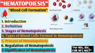 Hematopoiesis  Formation of blood  Erythropoiesis  Hematopoiesis MSc zoology Hindi notes [upl. by Michey423]