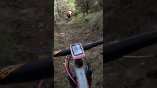 Senda del Tejar me encanta🤟reinodelosmallosbike mtbenduro ciclismo shorts [upl. by Elram]