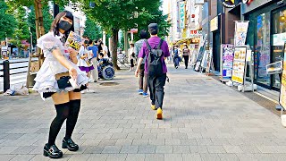 【Akihabara Walk in Tokyo】Lively weekdays【4K】 [upl. by Abbie]