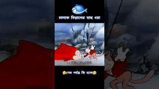 বিড়াল যখন বরশি নিয়ে মাছ ধরে cartoon [upl. by Larisa]