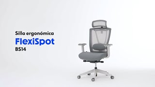 FlexiSpot  Descubre el Confort Profesional  Silla Ergonómica BS14 [upl. by Etnecniv]