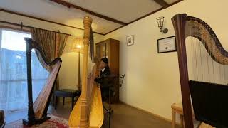 NZ 2023 Harp Performance Competition Celine Liu Advanced Pedal Class [upl. by Aihtennek242]