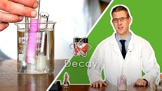 Decay  GCSE Biology Required Practical [upl. by Ranie]