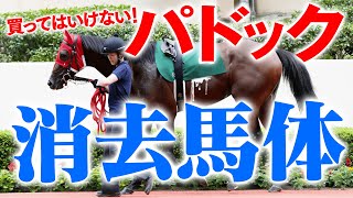 【パドックの見方】見つけたら買っちゃダメ！「即消し」できる４パターン【競馬予想】 [upl. by Molly62]