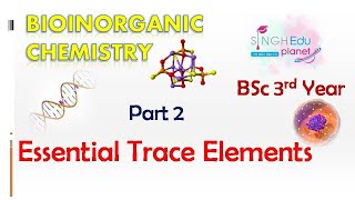 BSc III Year 5th Sem Inorganic Chemistry Important Questions amp Answers 2024DearPari [upl. by Rance]