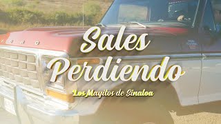 Los Mayitos de Sinaloa  Sales perdiendo Video oficial [upl. by Sirrom]