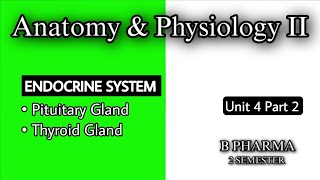 PITUITARY GLAND  THYROID GLAND ANATOMY amp PHYSIOLOGY  ENDOCRINE SYSTEM  U4 P2  HAP2  B PHARMA [upl. by Bander]