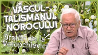 Vâscul  talismanul norocului absolut Mihai Voropchievici dezvăluiri tari [upl. by Orban278]