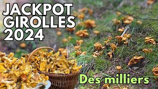 Super coin à girolles  Cèpes champignons cepes asmr nature girolles 🍄🌳🍂 [upl. by Ellecrad]