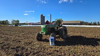 Planting Triticale for the first time [upl. by Carlyle455]