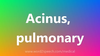 Acinus pulmonary  Medical Meaning [upl. by Heppman680]