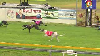 Capalaba07112023Race1 [upl. by Ley]