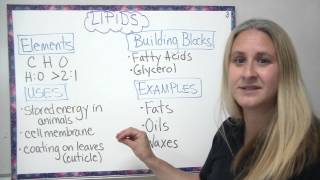 Organic compounds  4 main types described [upl. by Rabkin]