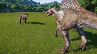 Carnotaurus VS Spinosaurus  Jurassic World Evolution [upl. by Terris]