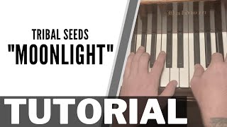 How to play quotMoonlightquot by Tribal Seeds [upl. by Onailimixam]