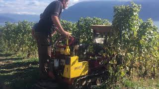 Manoeuvre du semoir direct sur chenillette dans les vignes à Lavaux viticulture  engrais verts [upl. by Anaes]